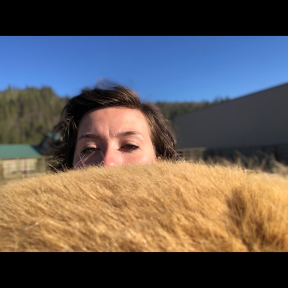 Meet your Posher, Jacey - Picture 1 of 1